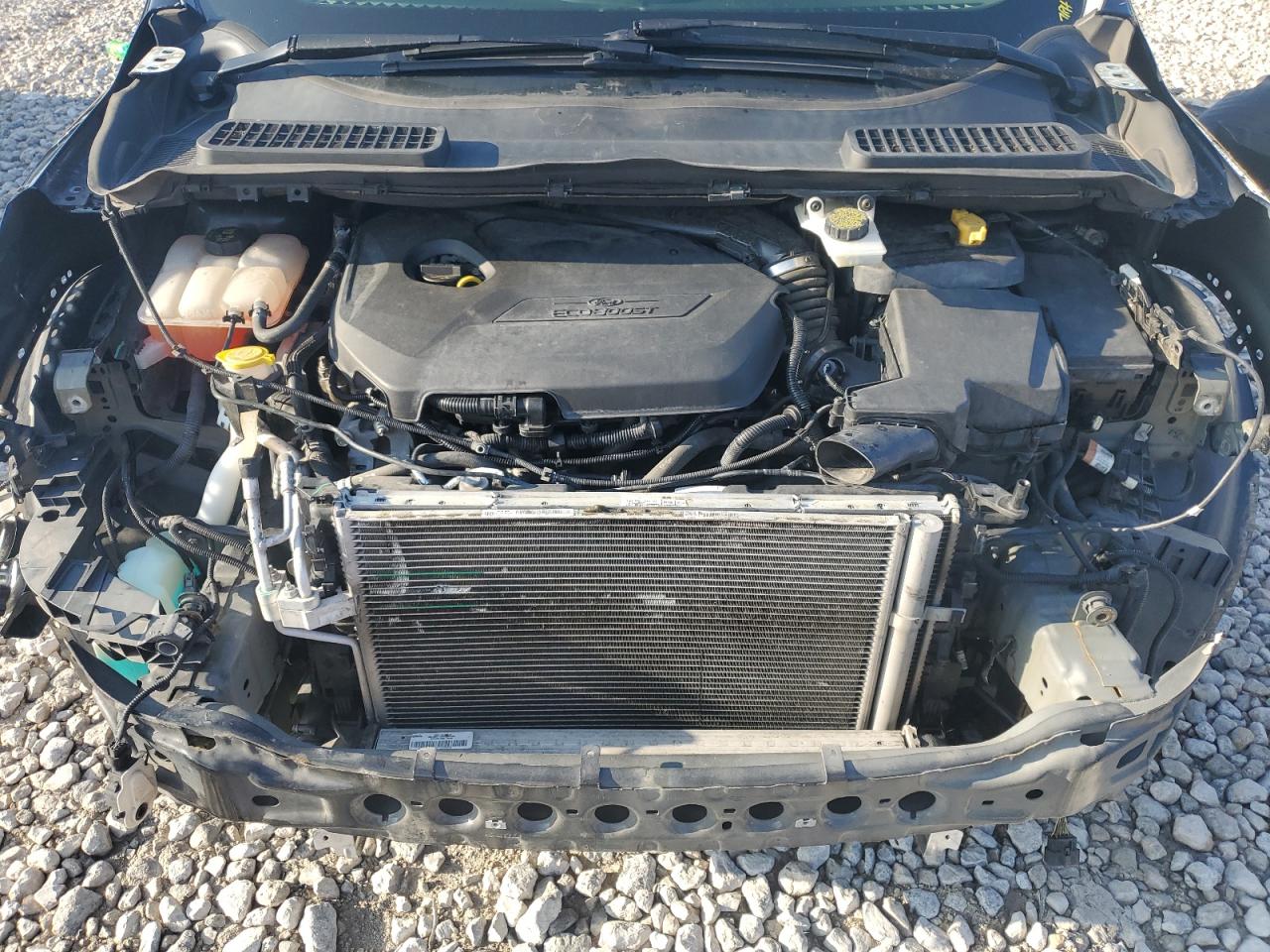 2014 Ford Escape Se VIN: 1FMCU0GXXEUA13791 Lot: 64872944