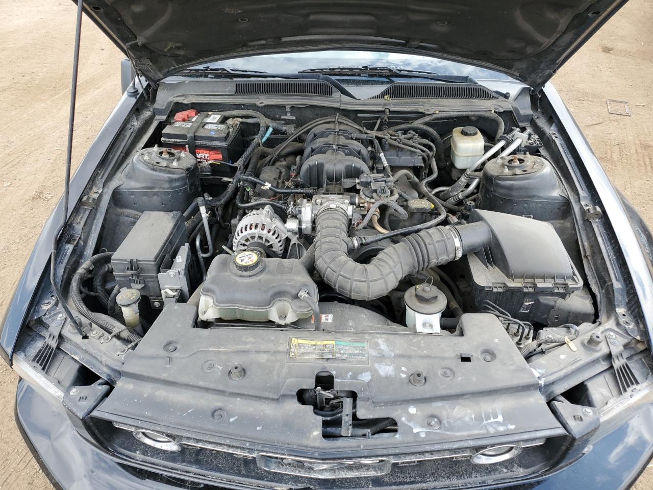 2007 Ford Mustang VIN: 1ZVHT80N475334398 Lot: 63967554