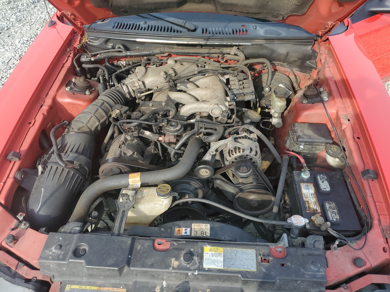 1FAFP44421F188440 2001 Ford Mustang