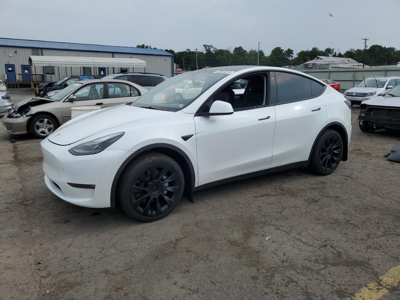 VIN 7SAYGAEE3PF669631 2023 TESLA MODEL Y no.1