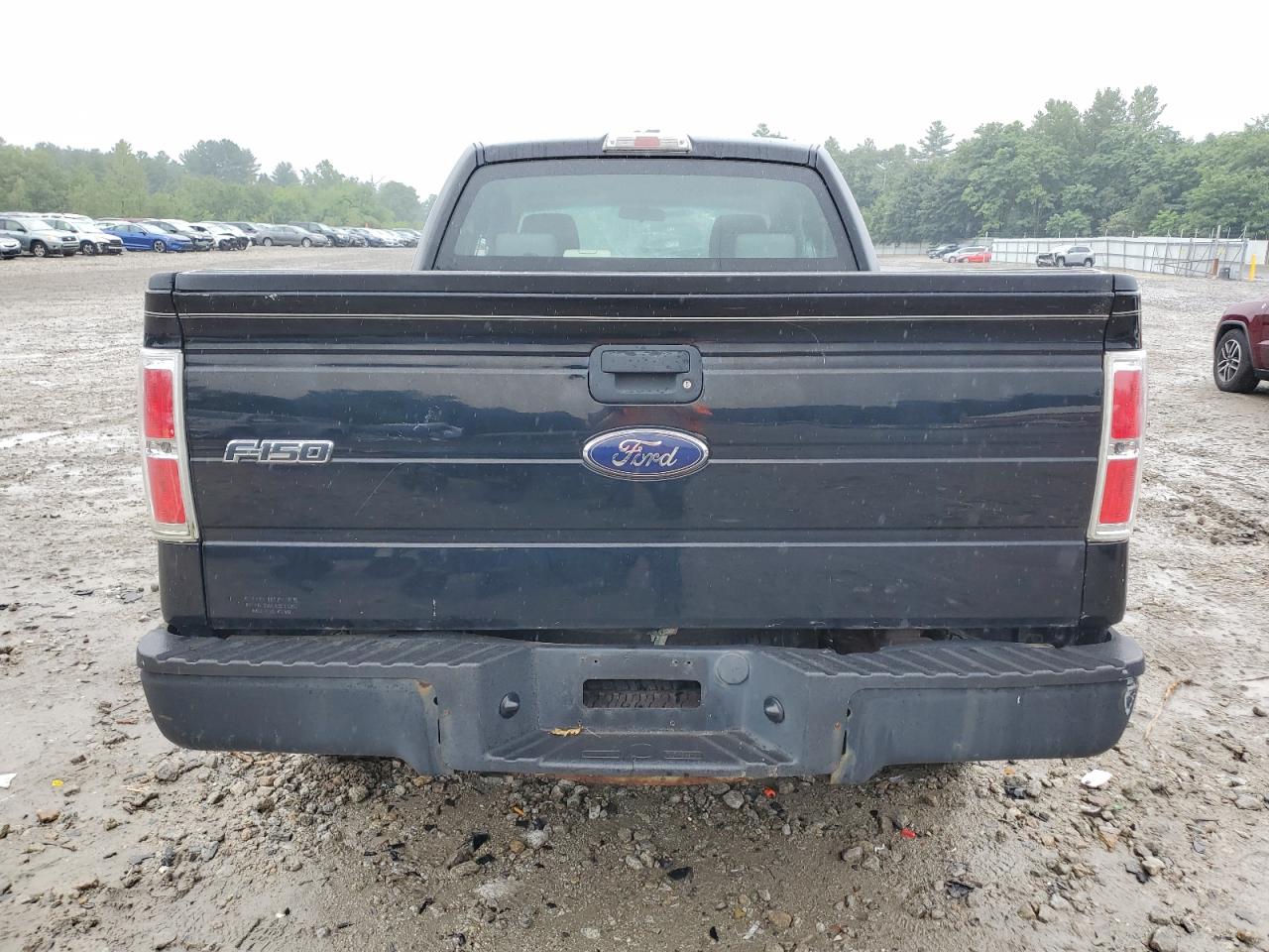 2009 Ford F150 Super Cab VIN: 1FTRX14WX9FA40474 Lot: 65150374