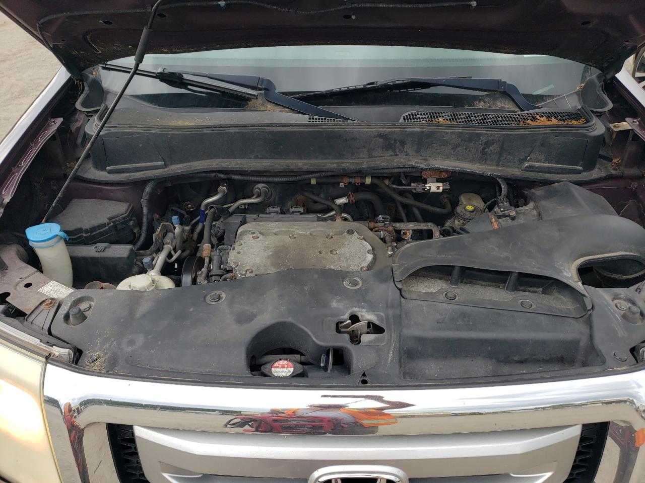 2009 Honda Pilot Exl VIN: 5FNYF48549B056529 Lot: 62925134