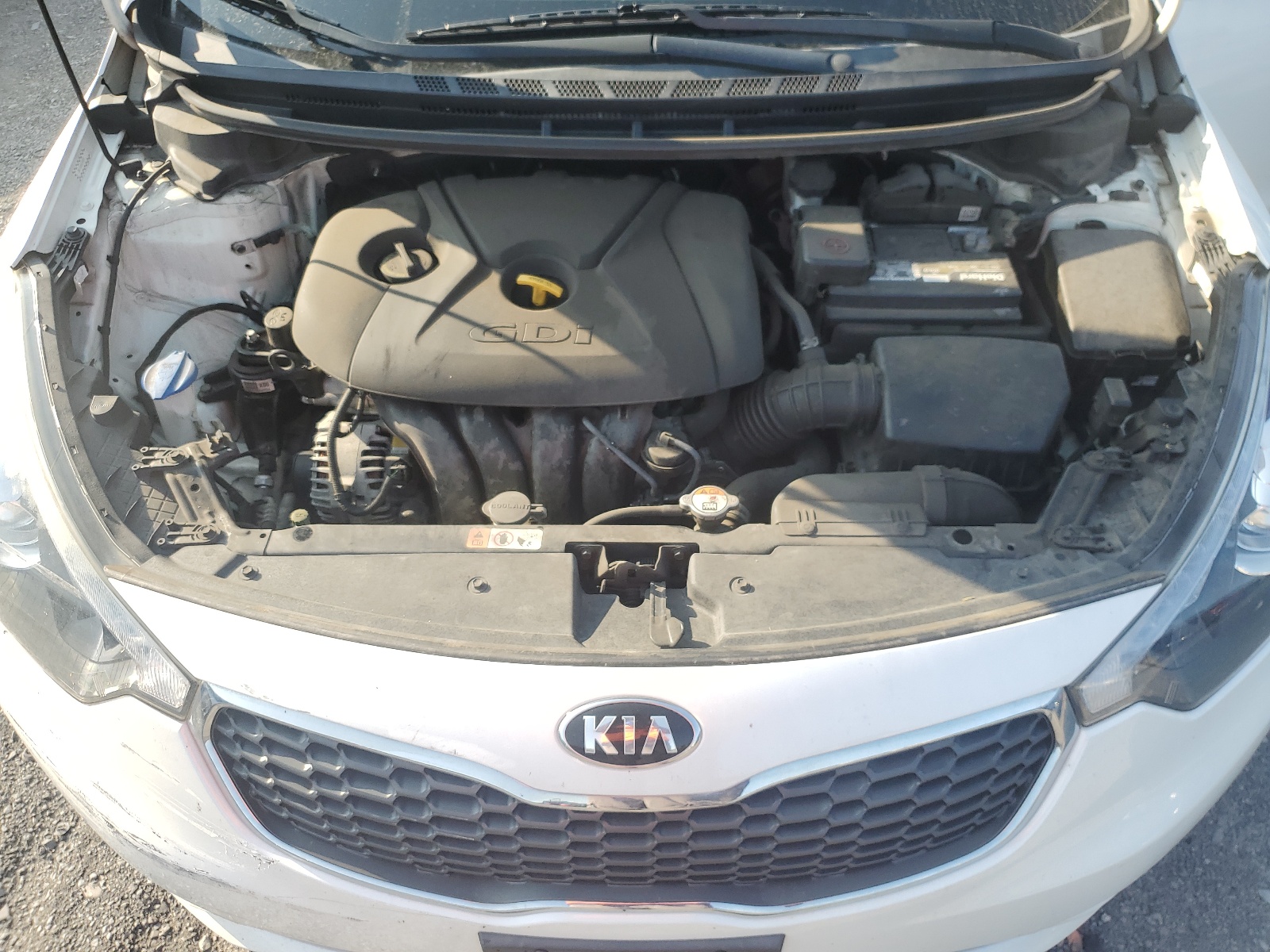 KNAFX4A86G5491069 2016 Kia Forte Ex