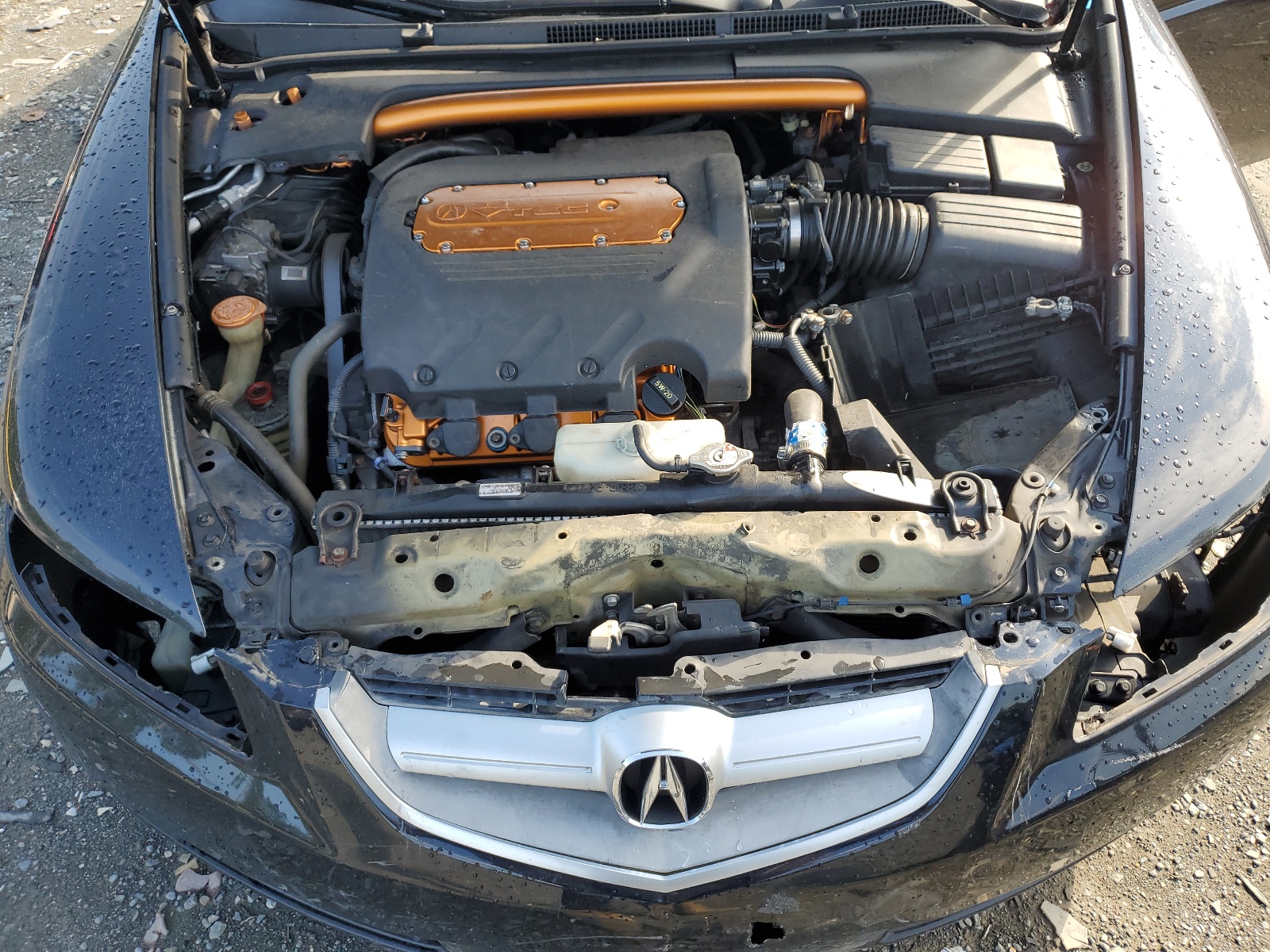 19UUA66244A016049 2004 Acura Tl