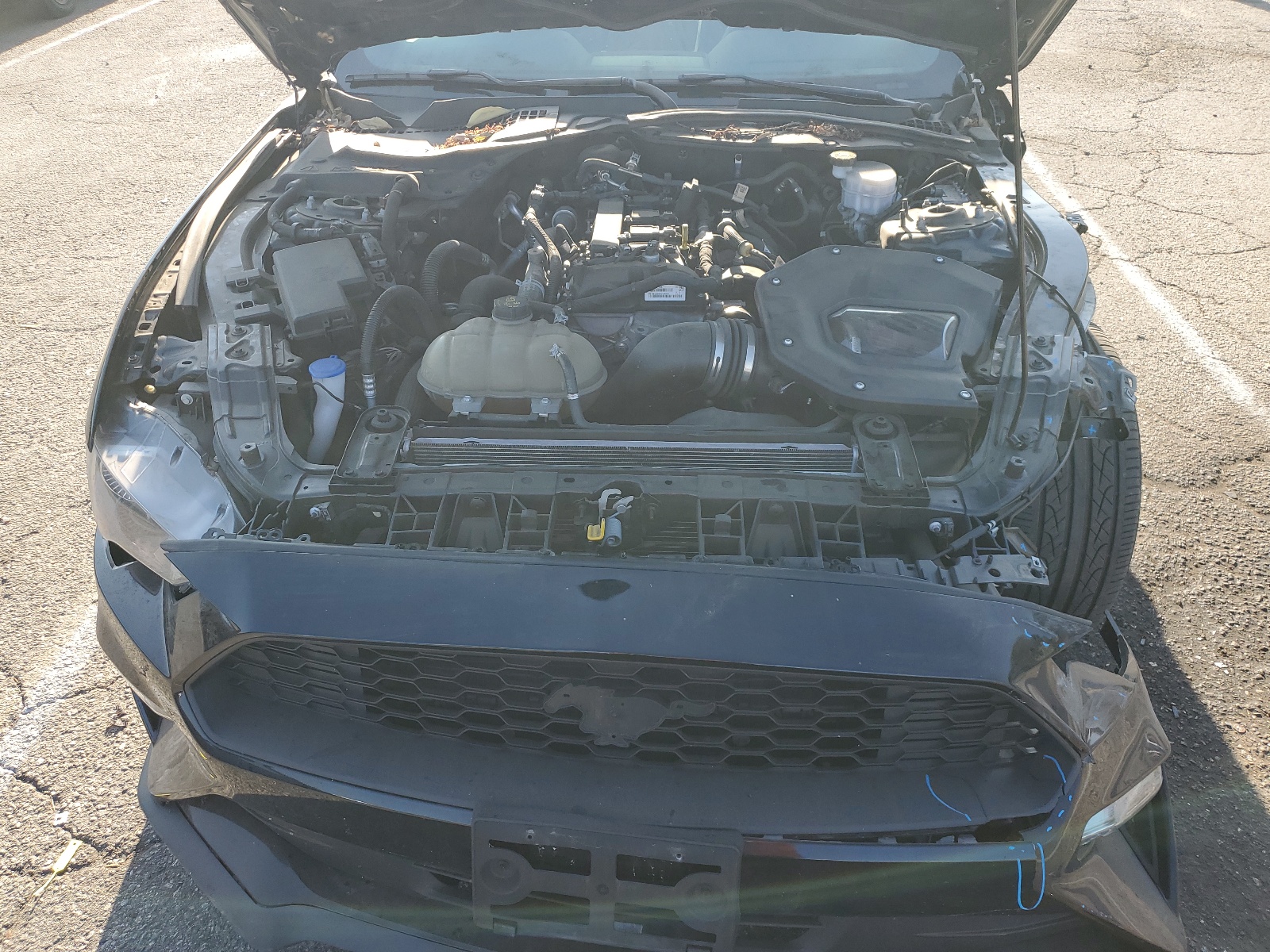 1FA6P8TH2M5114280 2021 Ford Mustang