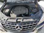 MERCEDES-BENZ ML 350 photo