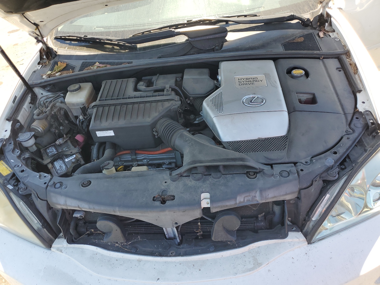 JTJHW31U360026442 2006 Lexus Rx 400