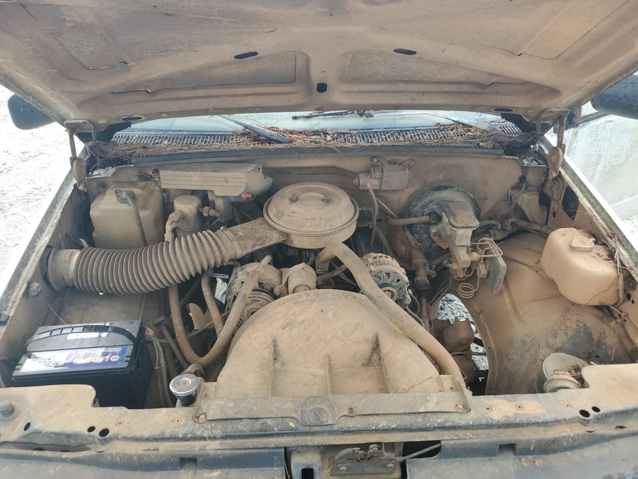 1992 Chevrolet Gmt-400 K1500 VIN: 1GCEK14Z5NE204804 Lot: 65014504