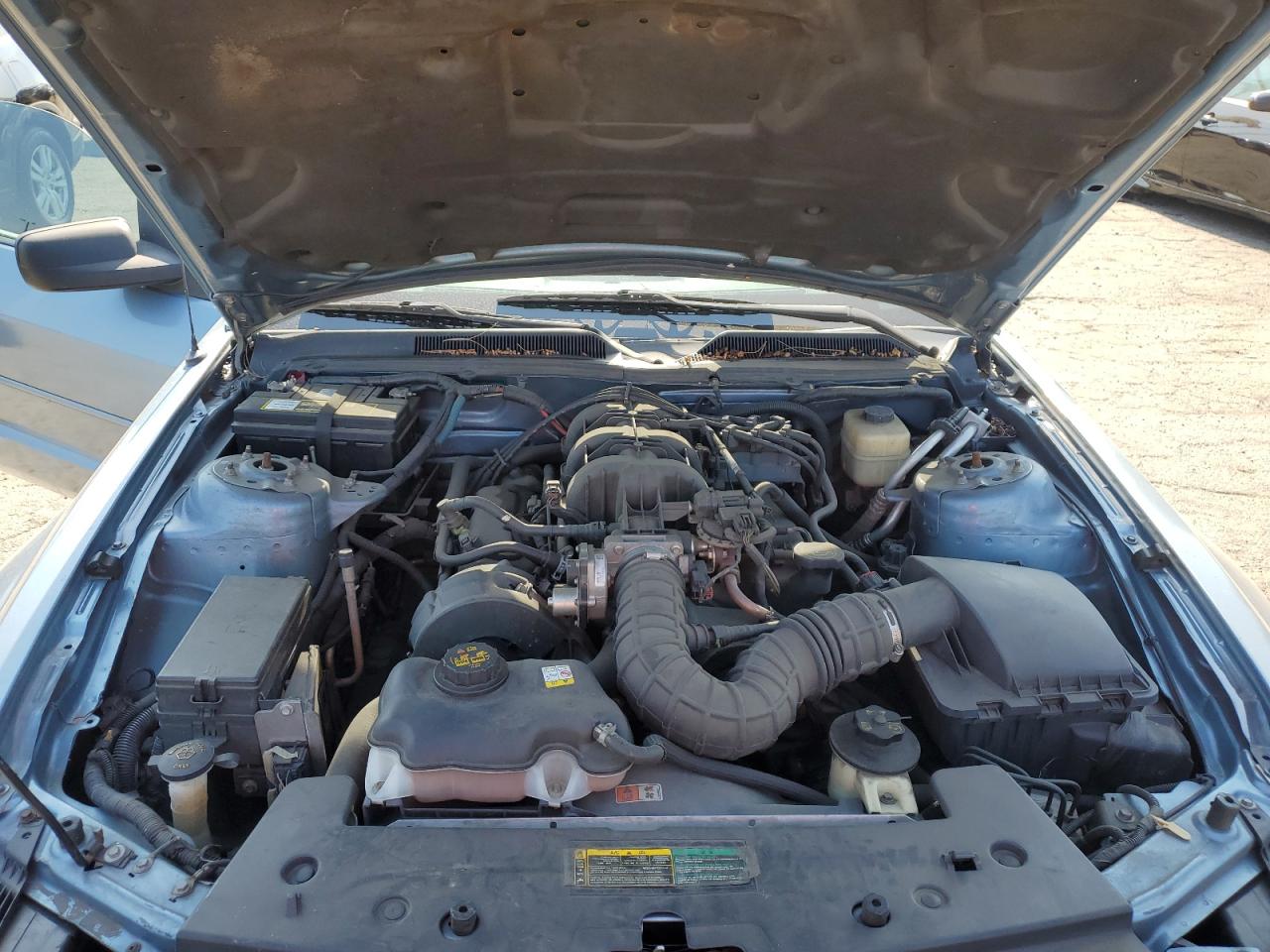 2008 Ford Mustang VIN: 1ZVHT80N785107921 Lot: 63589014