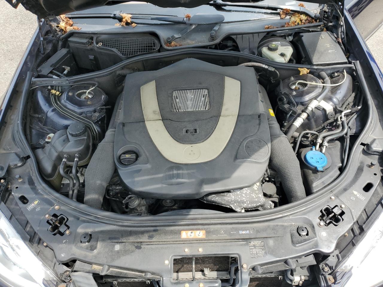 2007 Mercedes-Benz S 550 4Matic VIN: WDDNG86X27A118999 Lot: 64091284