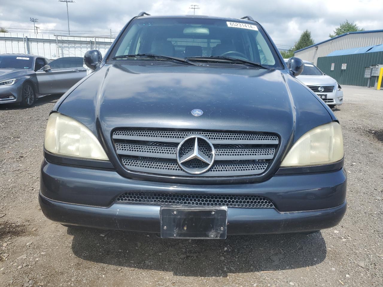 2000 Mercedes-Benz Ml 430 VIN: 4JGAB72E1YA196449 Lot: 65231414