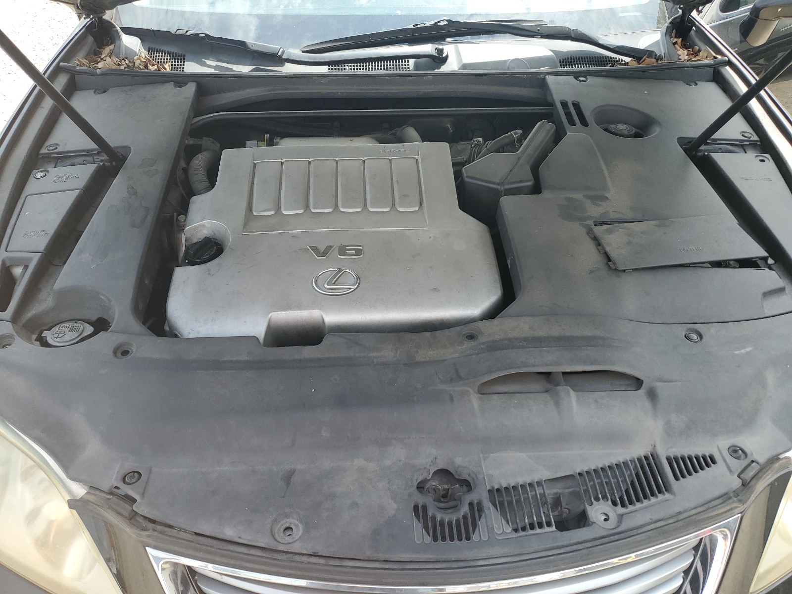 JTHBJ46G492303879 2009 Lexus Es 350