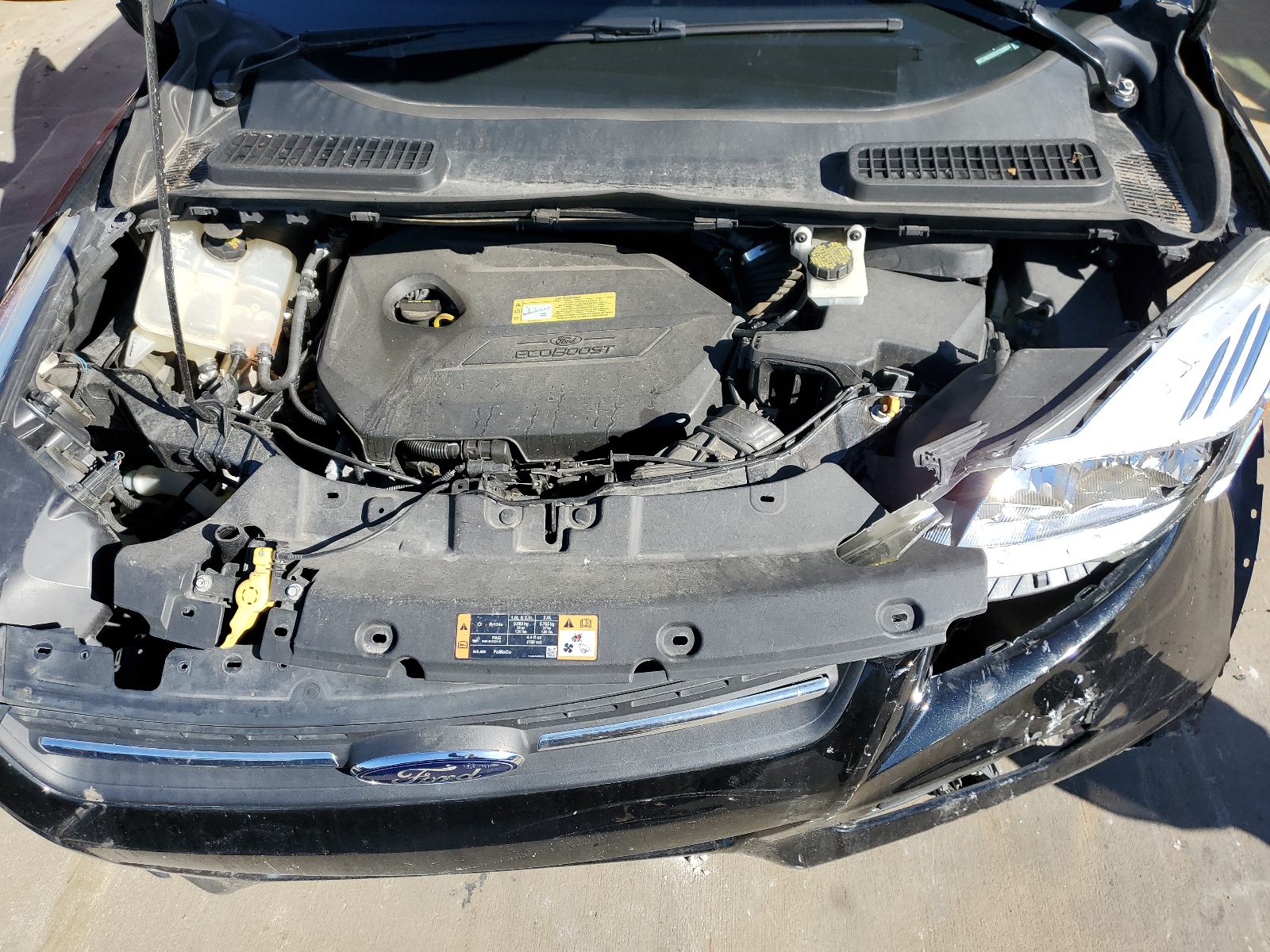 1FMCU0GX5EUC50804 2014 Ford Escape Se