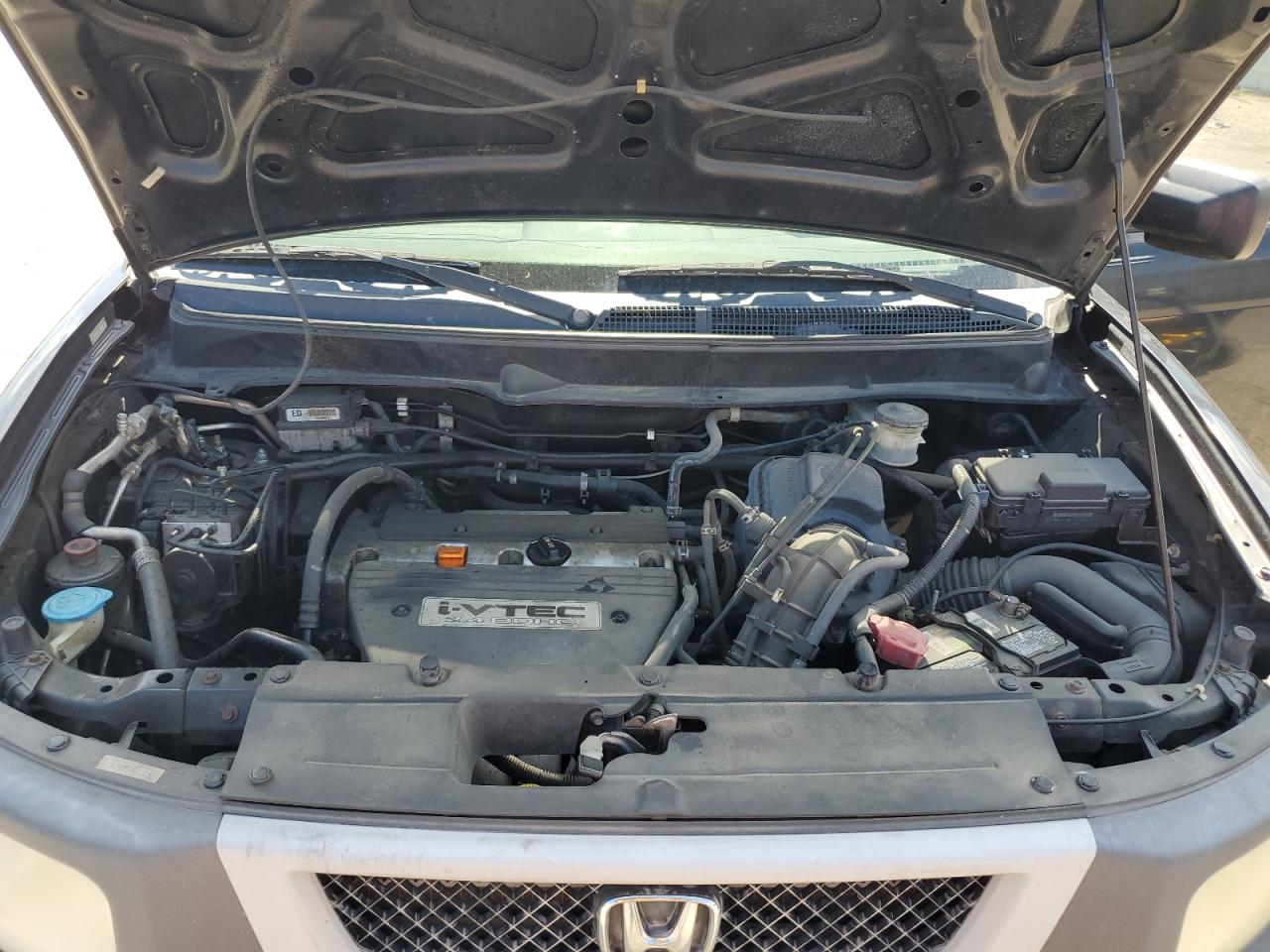 2004 Honda Element Ex VIN: 5J6YH285X4L019242 Lot: 65453264