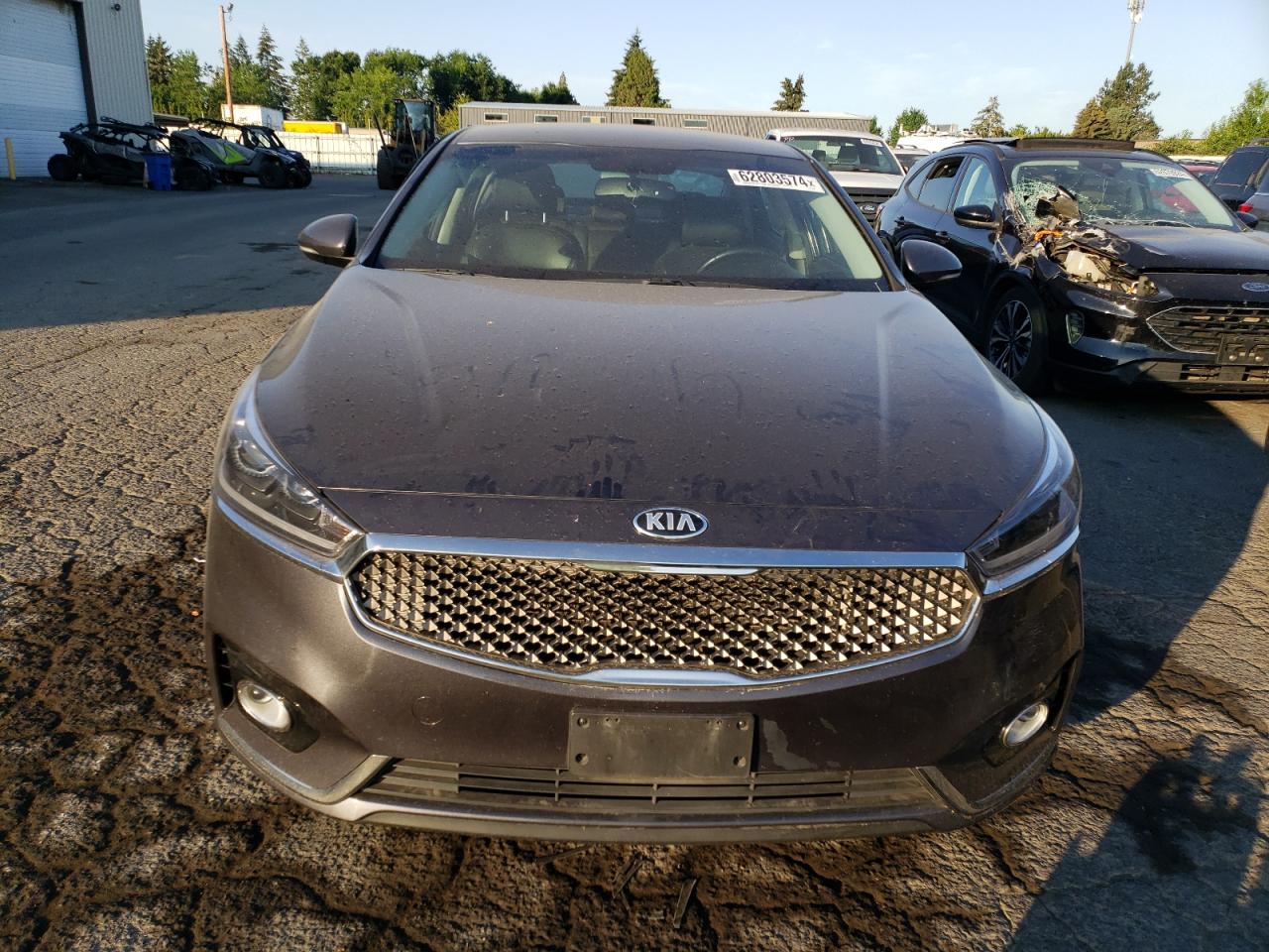 2019 Kia Cadenza Premium VIN: KNALB4J10K5166642 Lot: 62803574