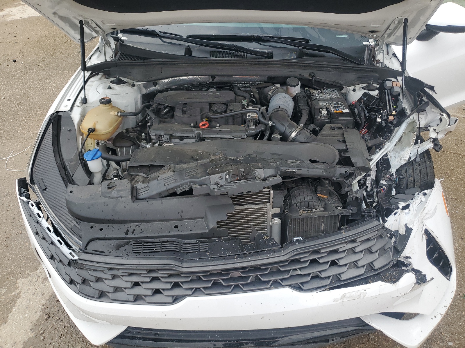 5XXG14J26PG191113 2023 Kia K5 Lxs