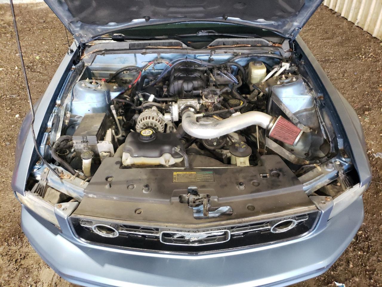 2006 Ford Mustang VIN: 1ZVFT80N665265171 Lot: 64896134