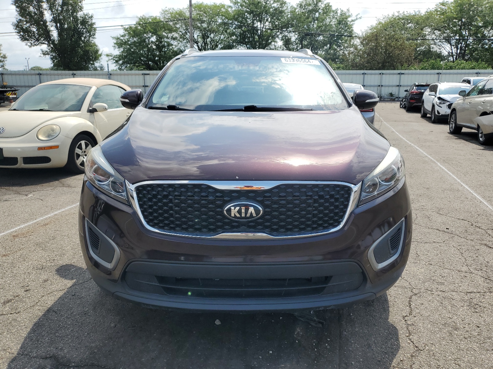 5XYPGDA33GG010049 2016 Kia Sorento Lx