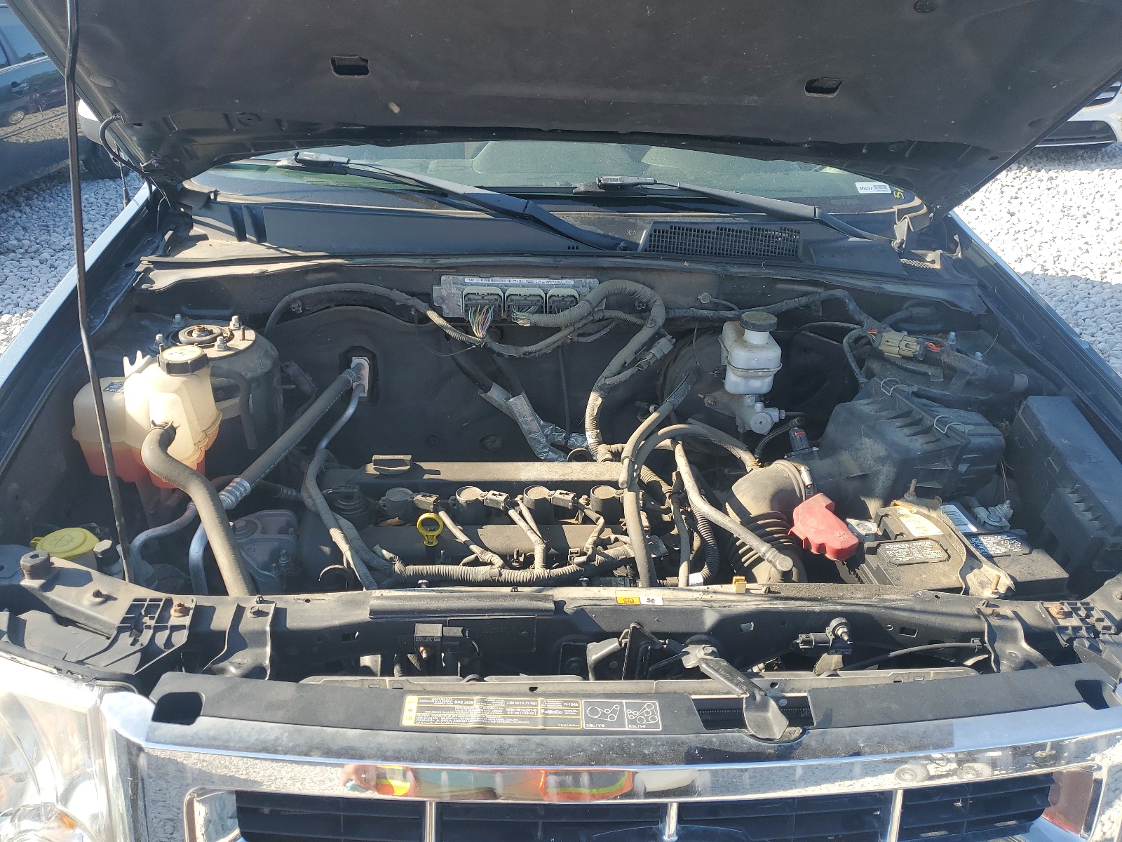 1FMCU0D79BKB97083 2011 Ford Escape Xlt