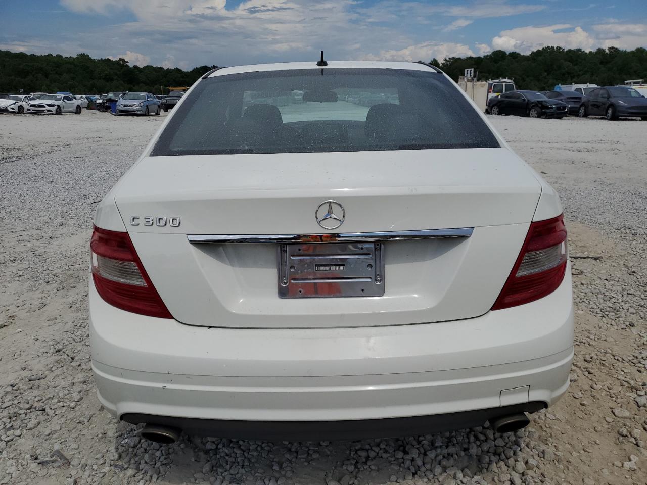 2010 Mercedes-Benz C 300 VIN: WDDGF5EB6AR094750 Lot: 62018654