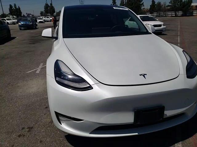 2023 Tesla Model Y VIN: 7SAYGDEE0PA023798 Lot: 65401624