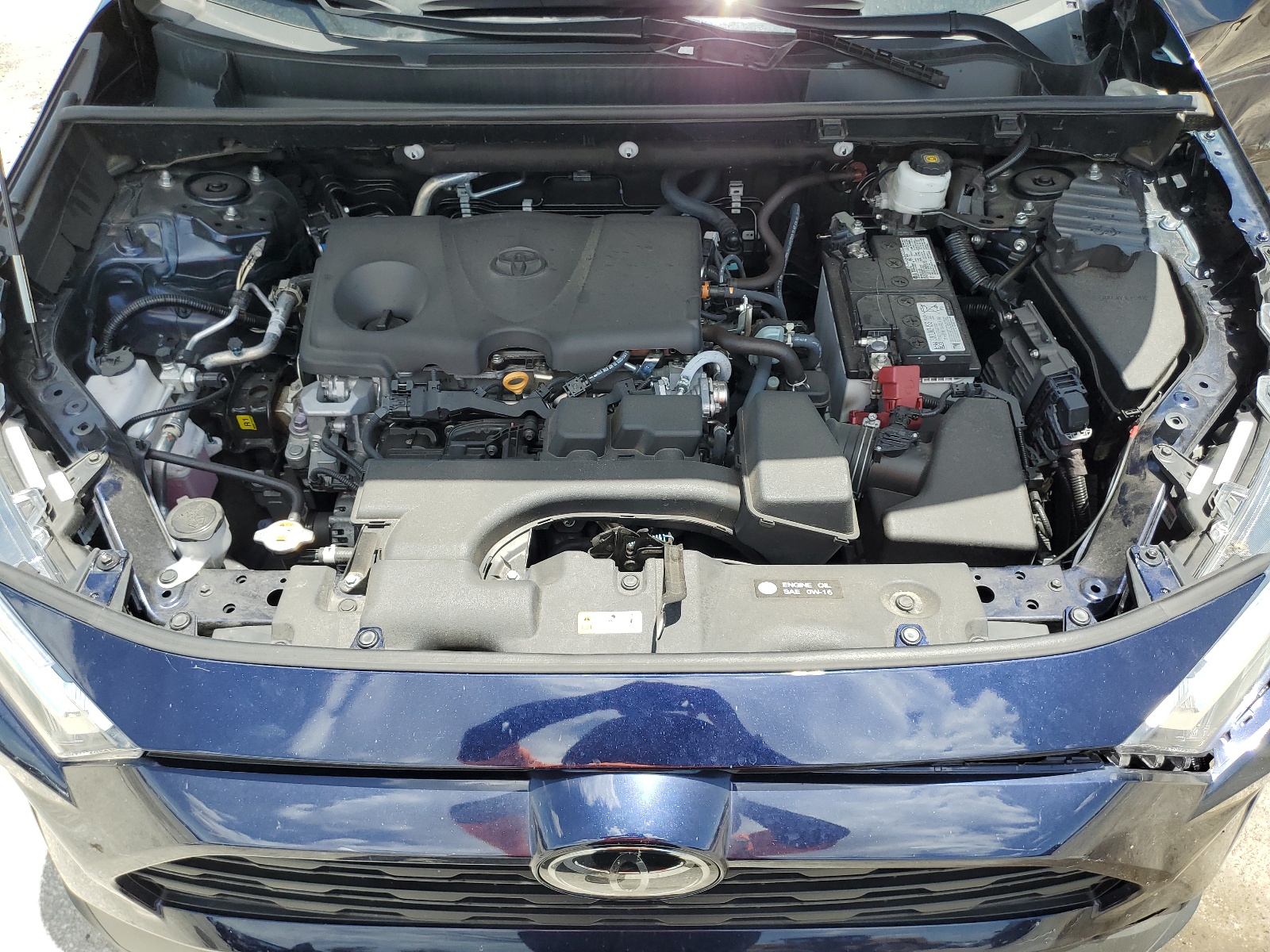 2T3W1RFV3PW262891 2023 Toyota Rav4 Xle