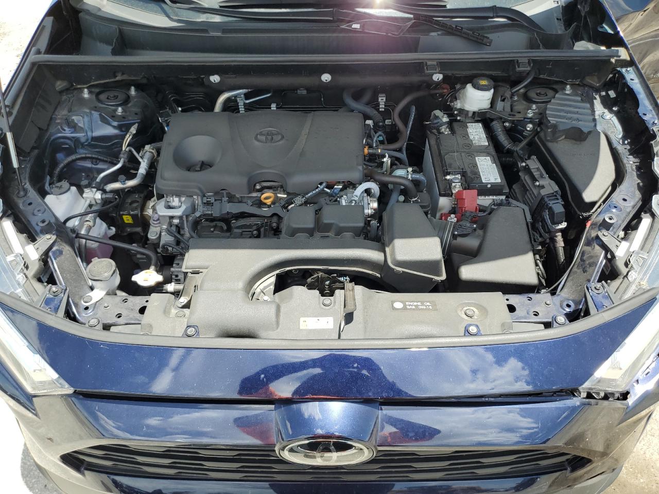 2023 Toyota Rav4 Xle VIN: 2T3W1RFV3PW262891 Lot: 64605814