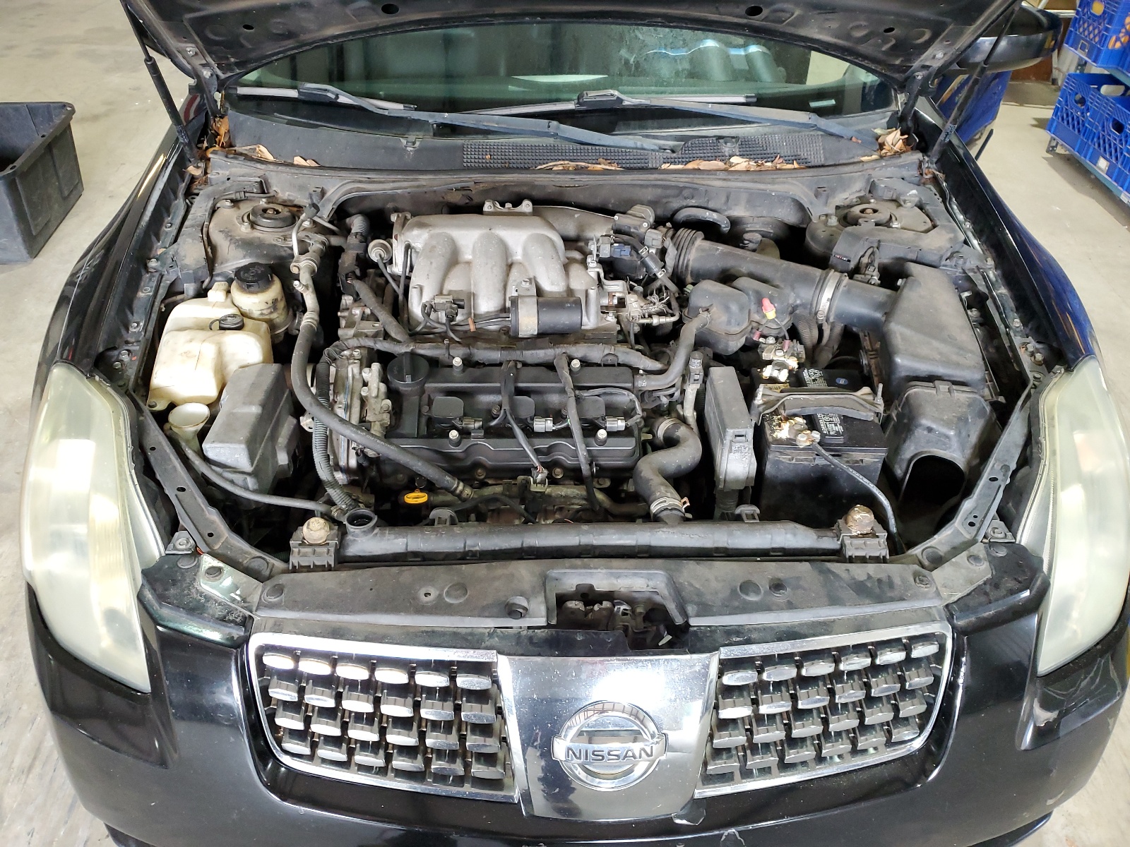 1N4BA41E25C872358 2005 Nissan Maxima Se