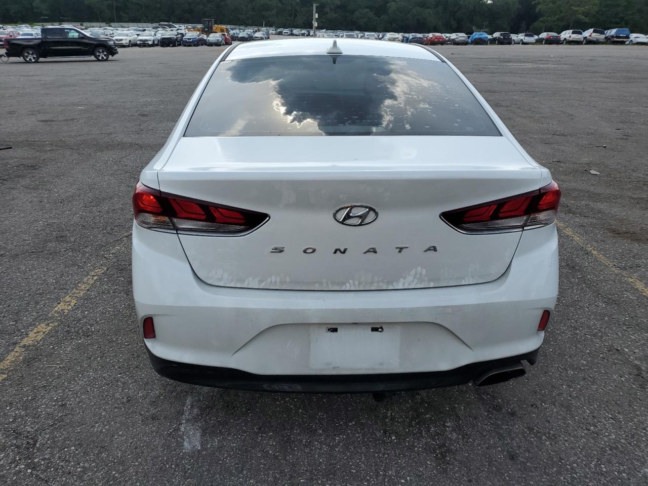 2019 Hyundai Sonata Limited VIN: 5NPE34AF1KH816566 Lot: 64720764