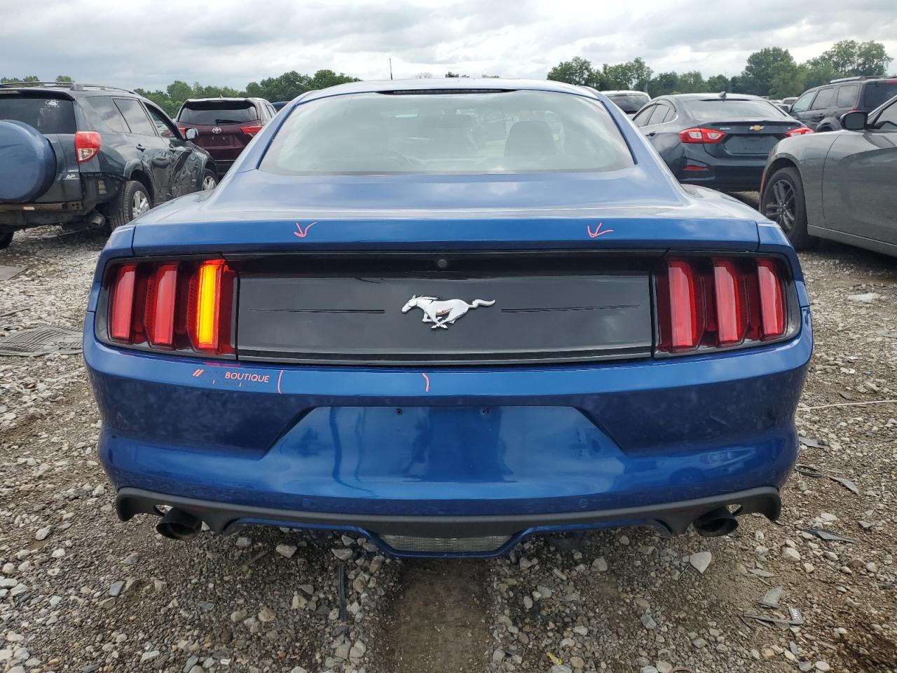 2017 Ford Mustang VIN: 1FA6P8AM1H5316601 Lot: 63293744