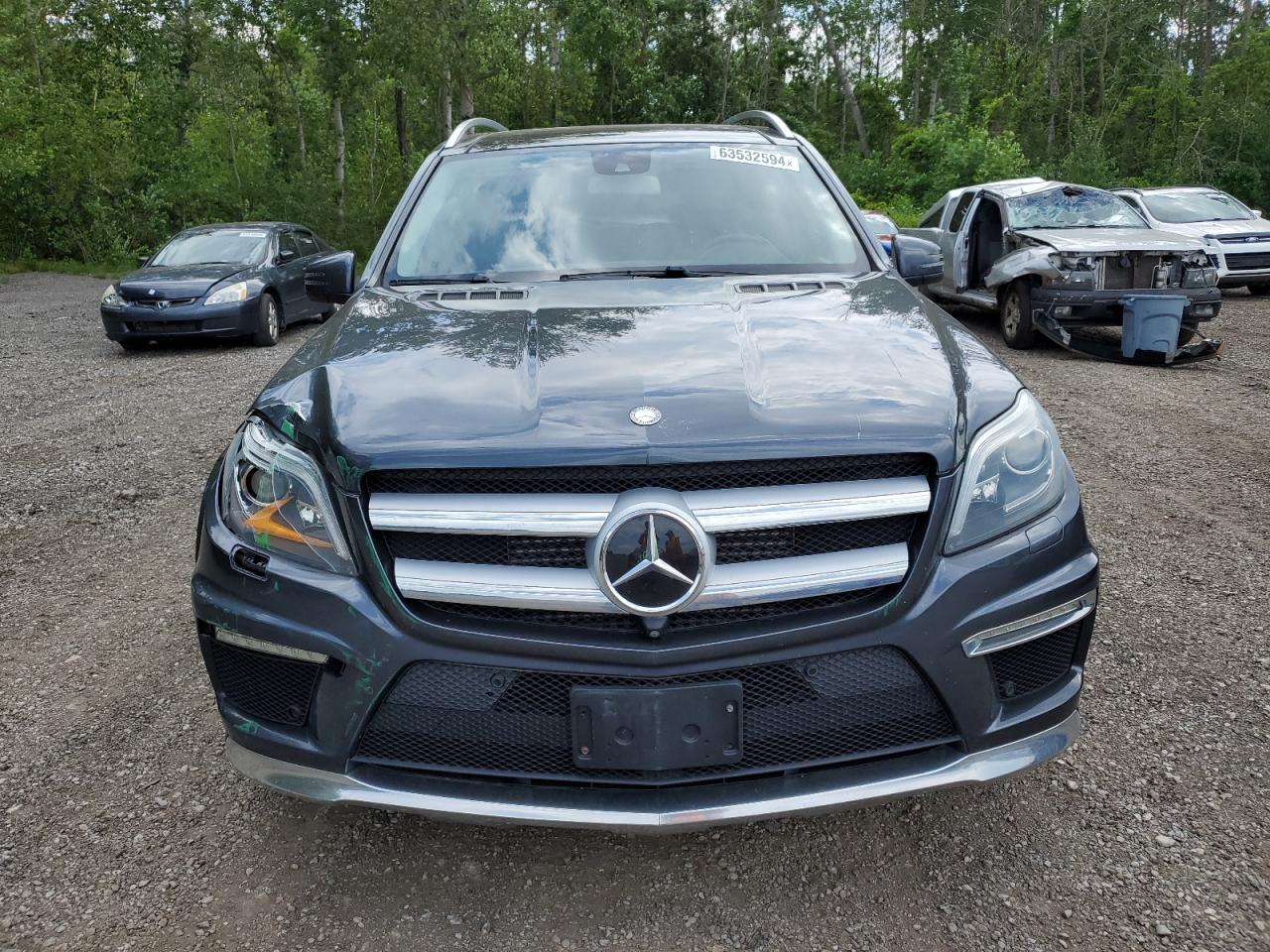 2014 Mercedes-Benz Gl 350 Bluetec VIN: 4JGDF2EE6EA279306 Lot: 63532594