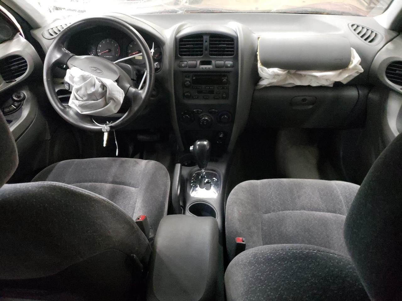 2003 Hyundai Santa Fe Gls VIN: KM8SC73E73U556525 Lot: 61689414