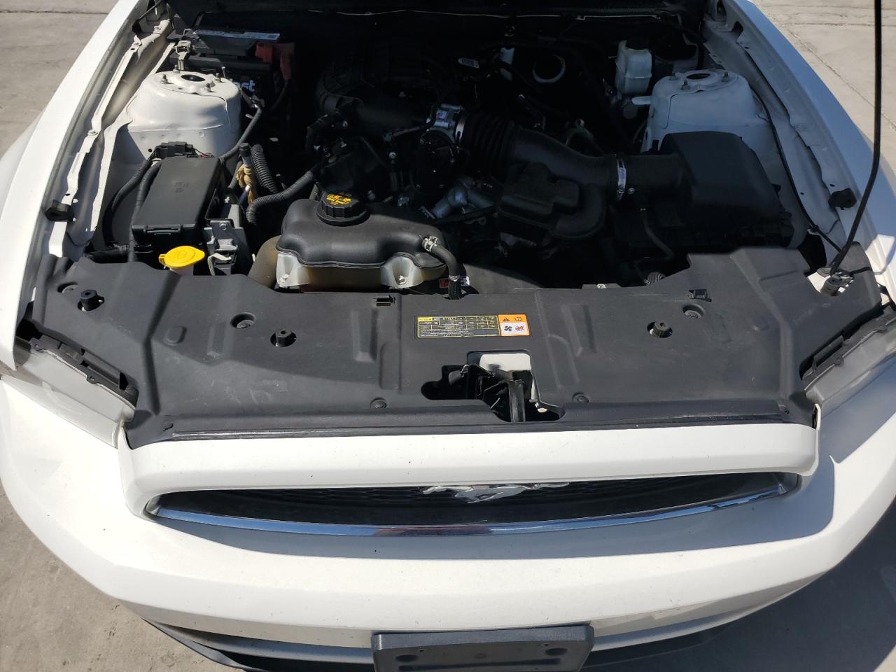 2013 Ford Mustang VIN: 1ZVBP8AM0D5266578 Lot: 61481194