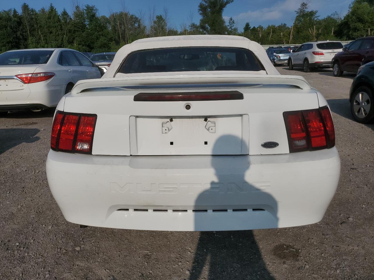 2000 Ford Mustang VIN: 1FAFP4443YF312158 Lot: 64603374