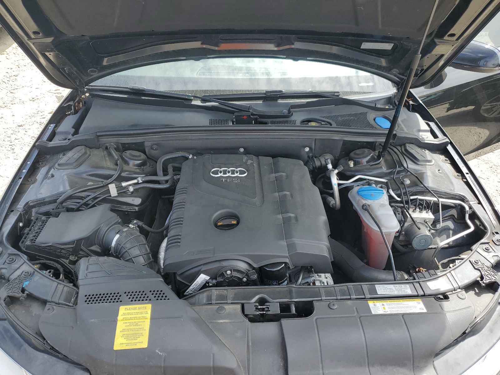 WAUFFAFL1DN012325 2013 Audi A4 Premium Plus