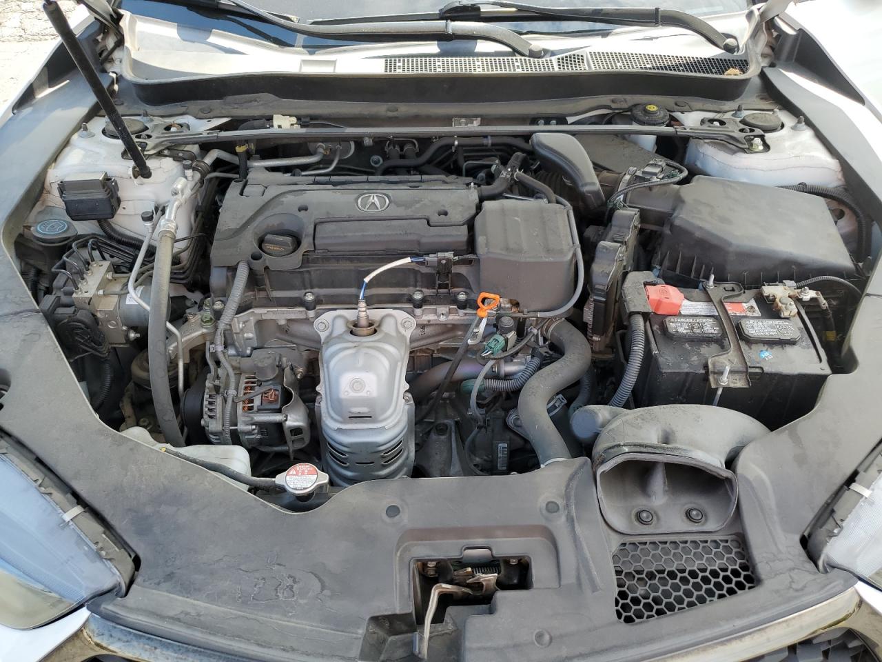 2019 Acura Tlx Technology VIN: 19UUB1F61KA001282 Lot: 63831244