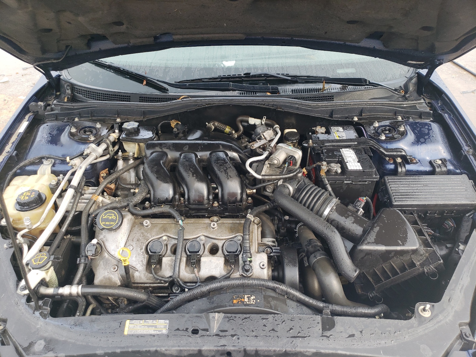 3FAHP08116R203747 2006 Ford Fusion Sel