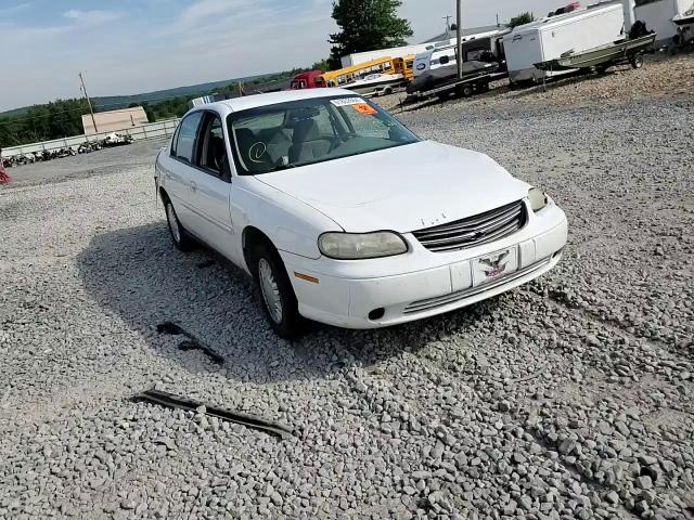 2002 Chevrolet Malibu VIN: 1G1ND52J52M528943 Lot: 61802664
