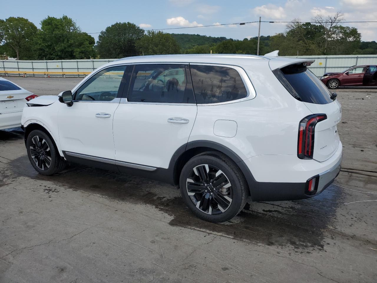 2023 Kia Telluride Sx VIN: 5XYP5DGC4PG346516 Lot: 63304764