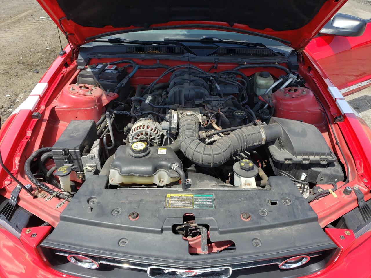 2006 Ford Mustang VIN: 1ZVHT80N165259920 Lot: 63951834