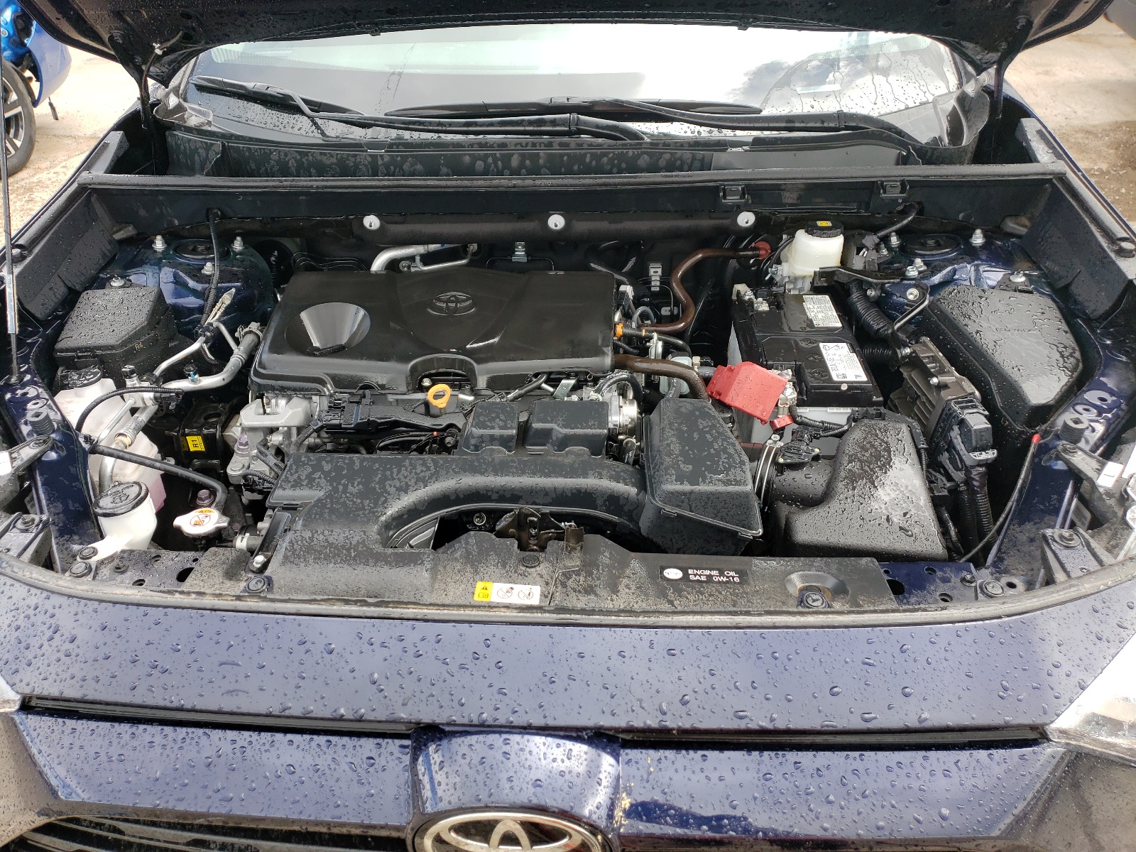 2T3P1RFV7RW420740 2024 Toyota Rav4 Xle