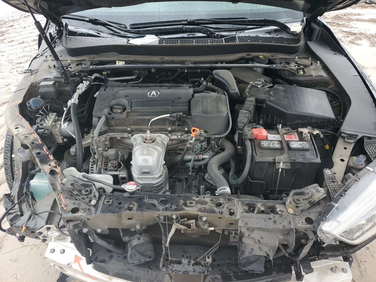 19UUB1F33LA005406 2020 Acura Tlx