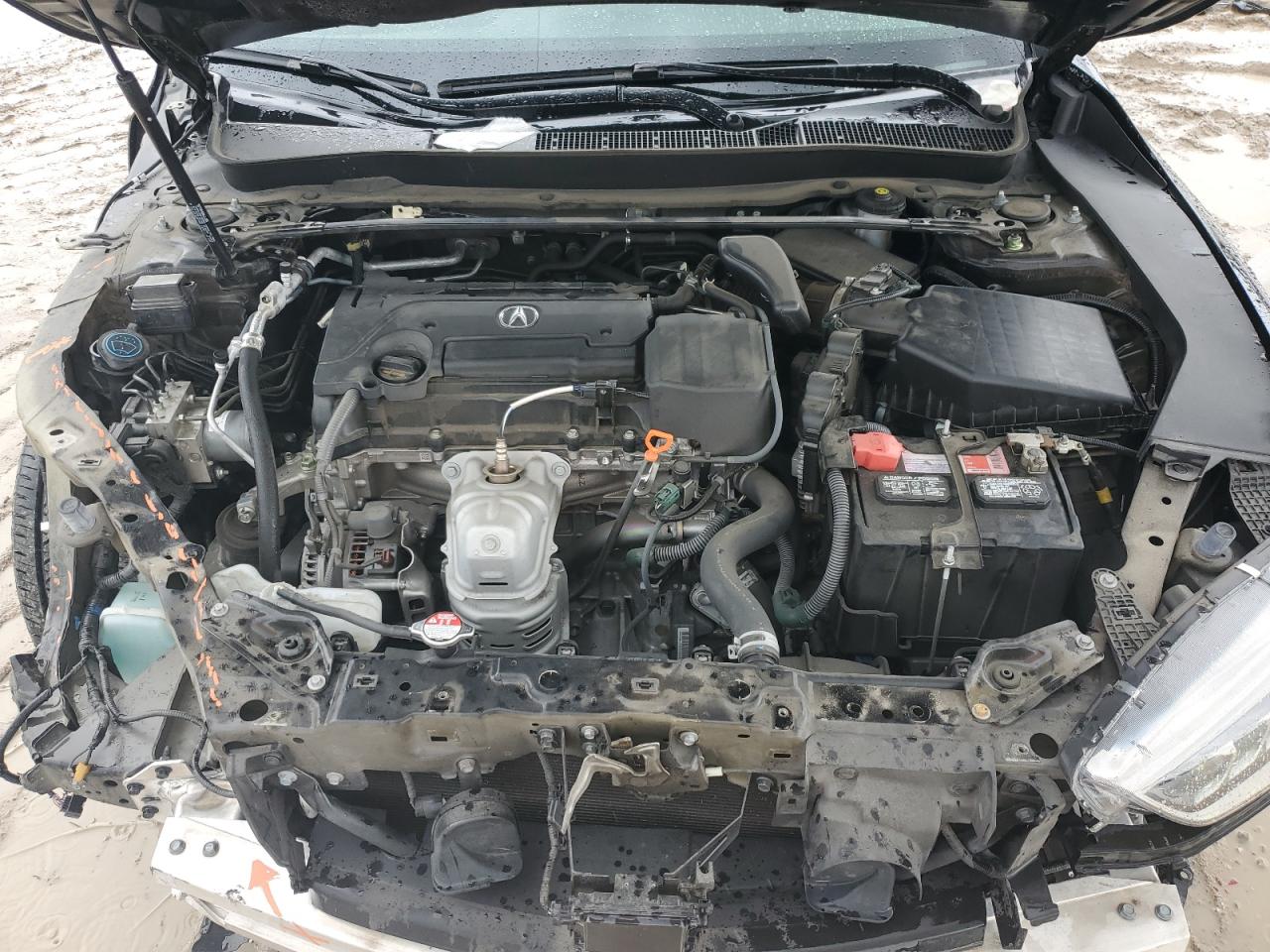 2020 Acura Tlx VIN: 19UUB1F33LA005406 Lot: 64710884