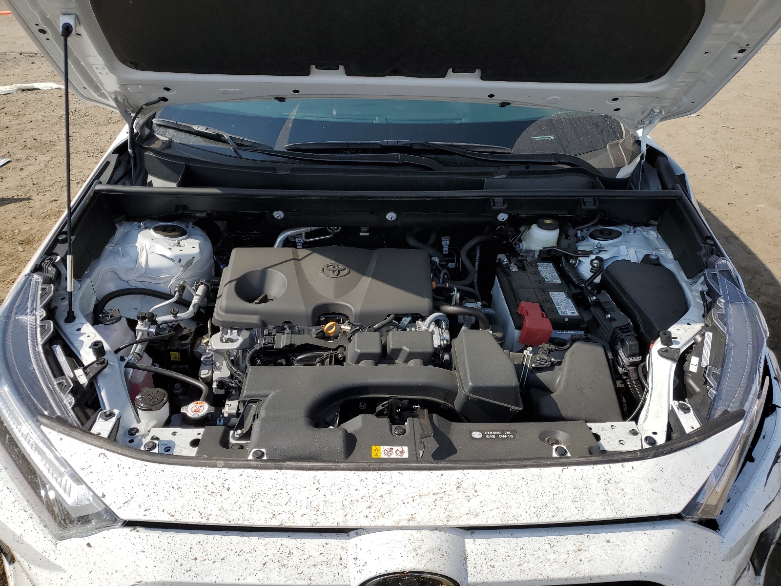 2T3H1RFV7RW313028 2024 Toyota Rav4 Le