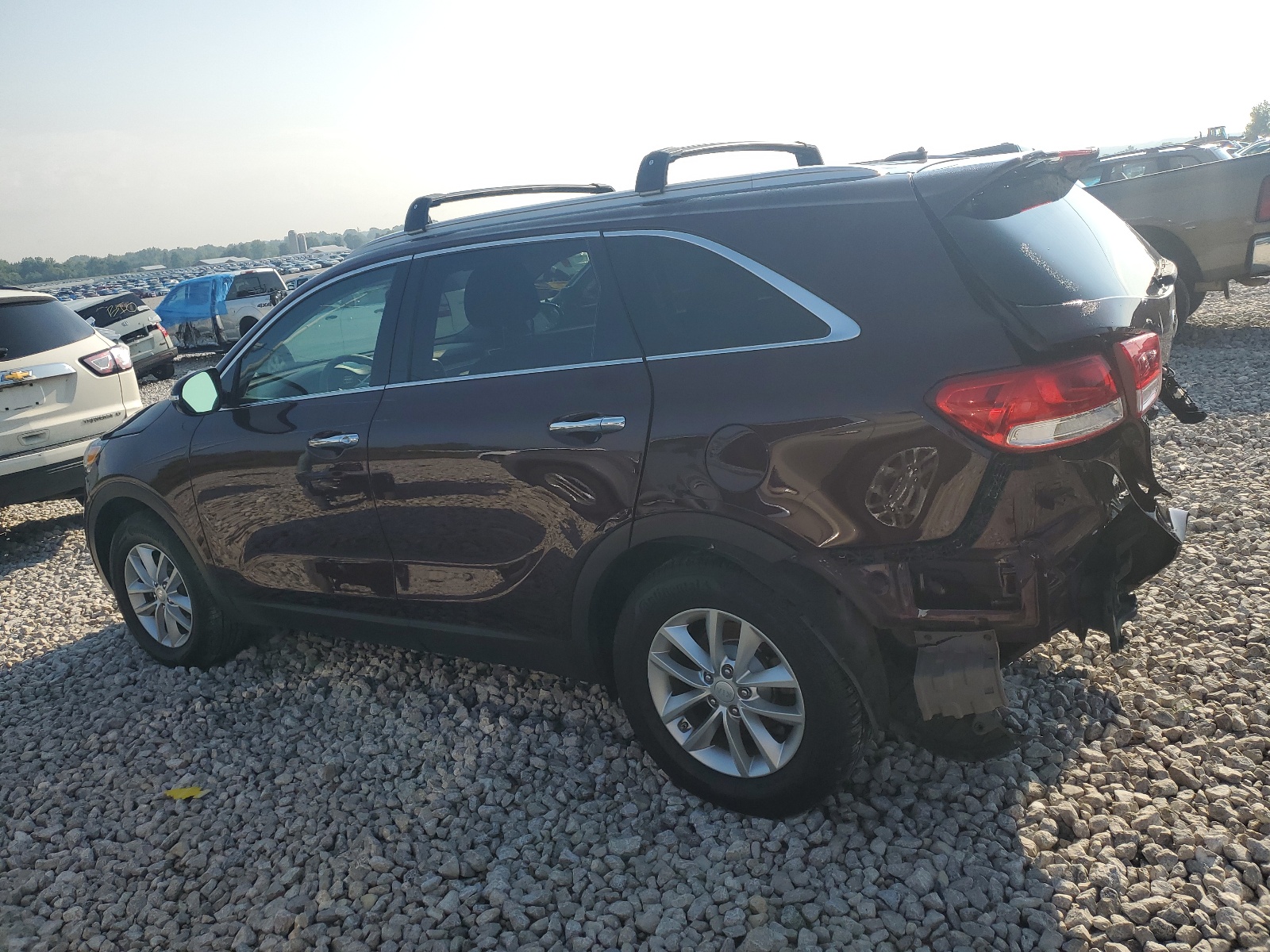 5XYPG4A36GG118665 2016 Kia Sorento Lx