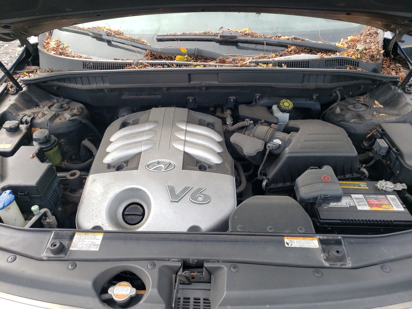 KM8NU13C18U029805 2008 Hyundai Veracruz Gls