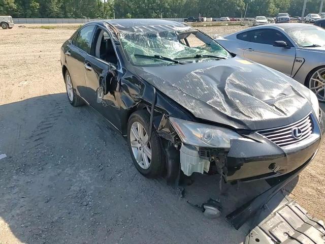 2009 Lexus Es 350 VIN: JTHBJ46G192339934 Lot: 63237954