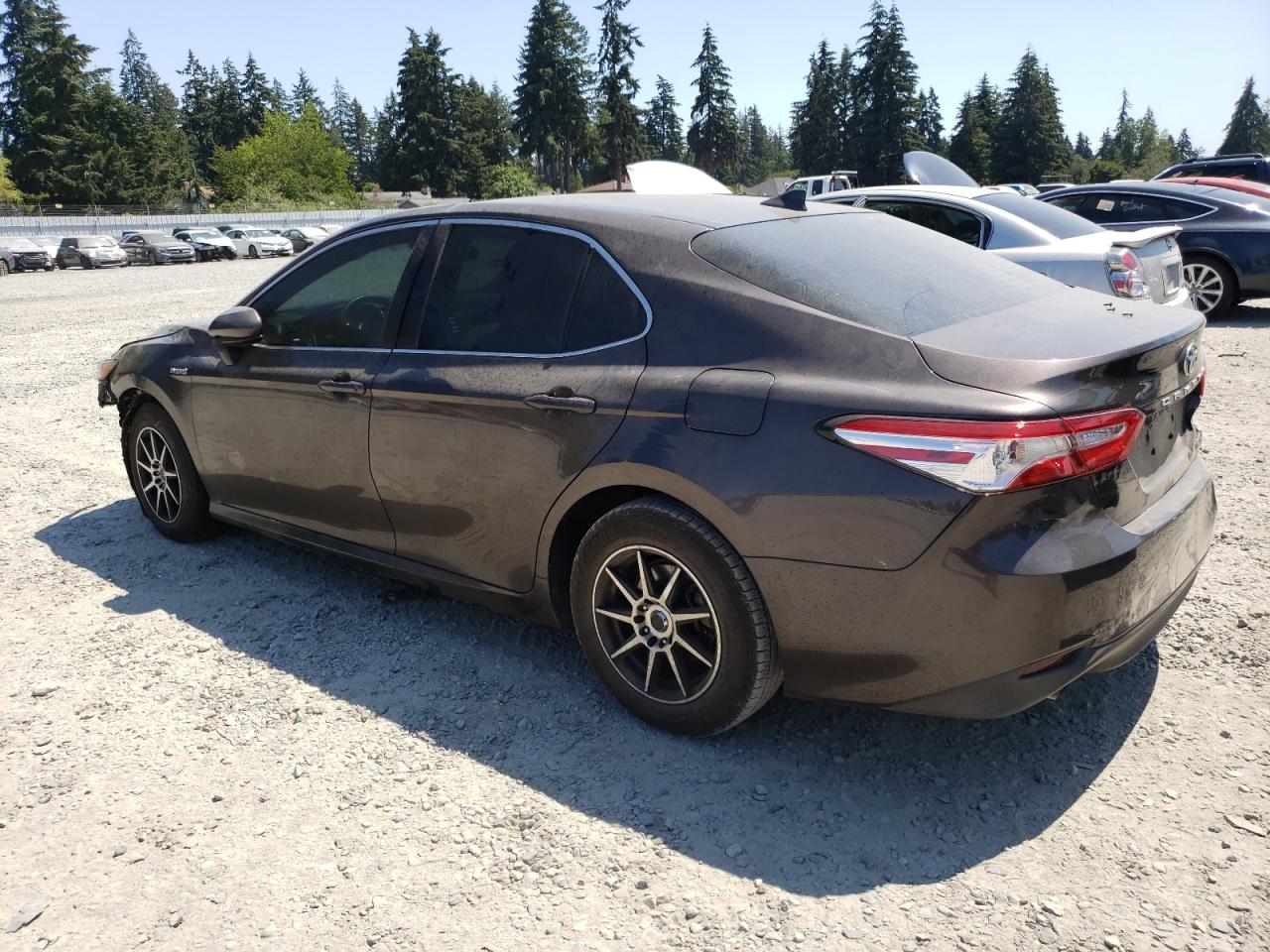 2019 Toyota Camry Le VIN: 4T1B31HK4KU005950 Lot: 63894744