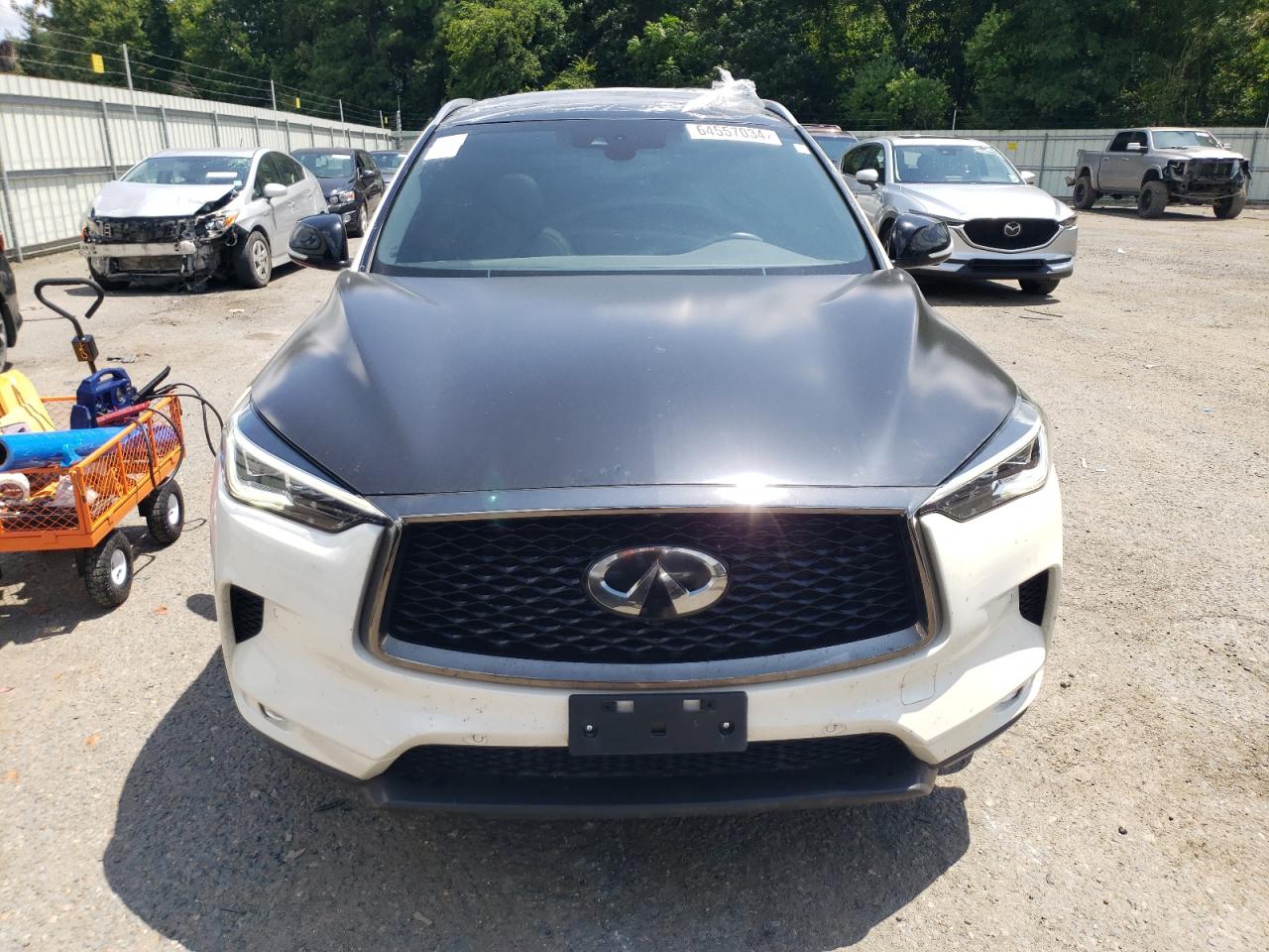 3PCAJ5M38LF118466 Infiniti QX50 PURE 5