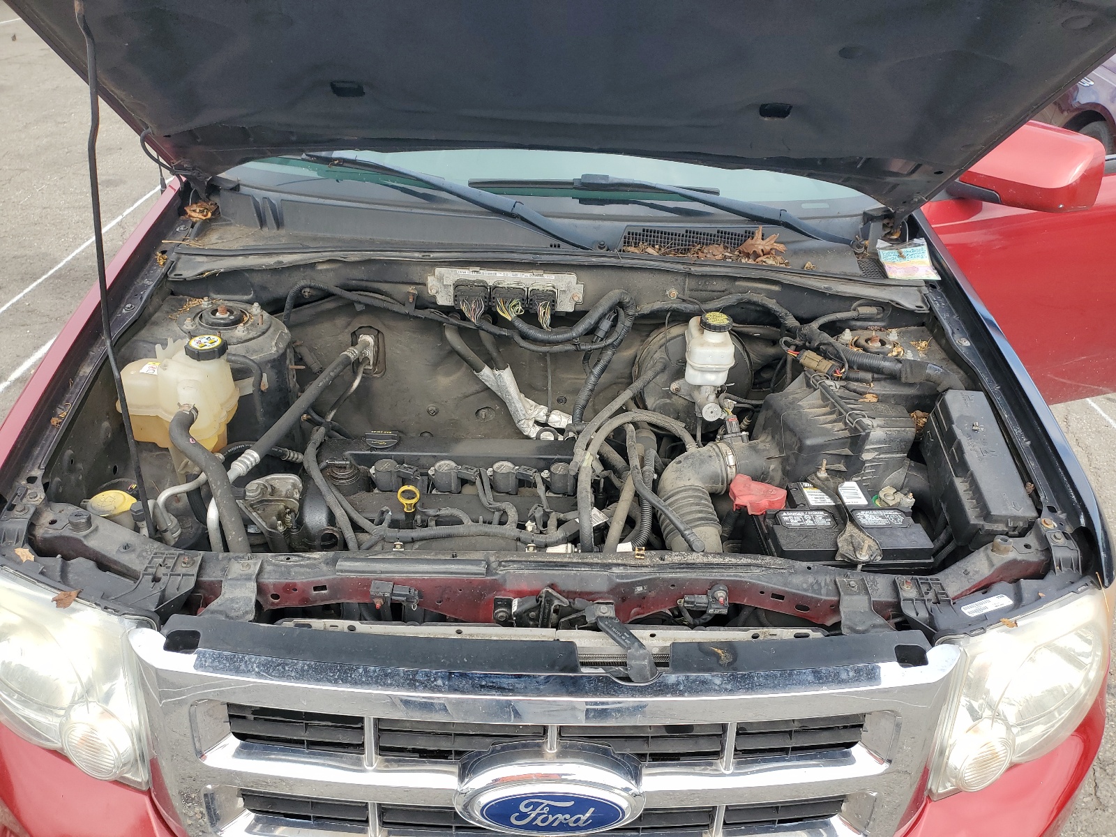 1FMCU0E76BKA20876 2011 Ford Escape Limited